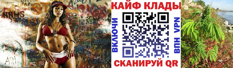 Что такое Кировск КОКАИН ГАШ АМФ Метадон Каннабис