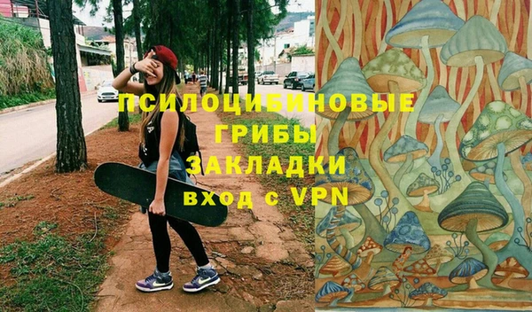 гашик Аркадак