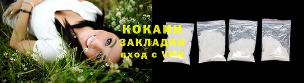 гашик Аркадак