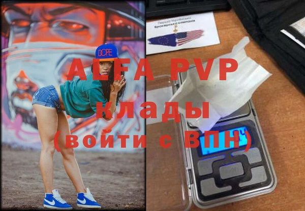 гашик Аркадак