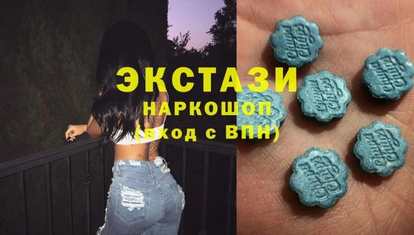 сатива Губаха