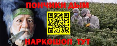 PSILOCYBIN Донской
