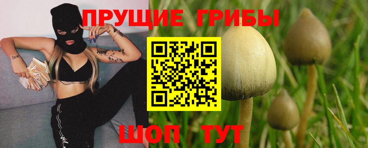 Кировск  Галлюциногенные грибы MAGIC MUSHROOMS  Вход с VPN 